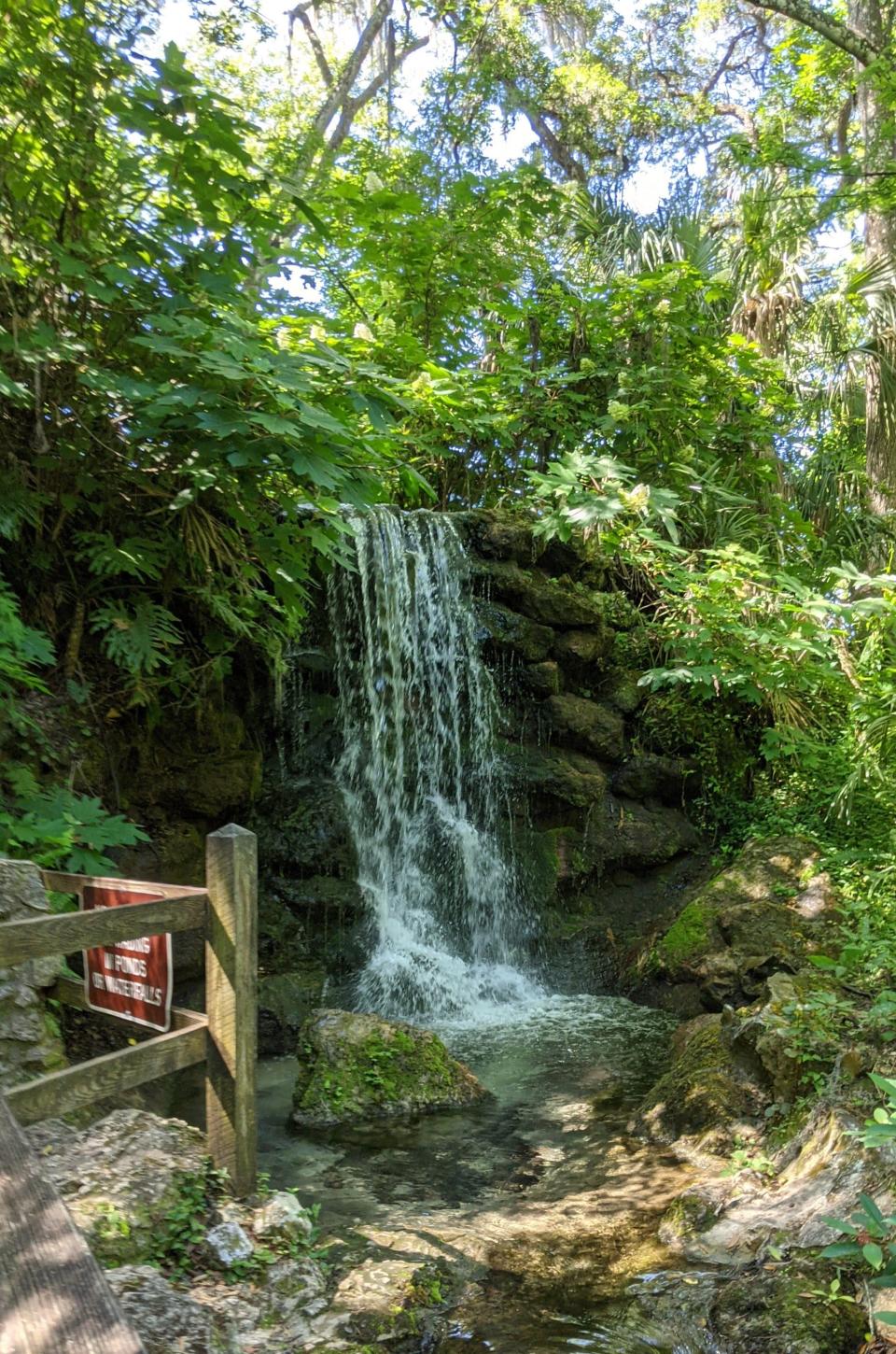 Rainbow Springs is one of the 10 fun hiking trails to hike in Marion County. A waterfall is one of the main attractions on the trail. [Danielle Johnson/Ocala Star Banner]2021