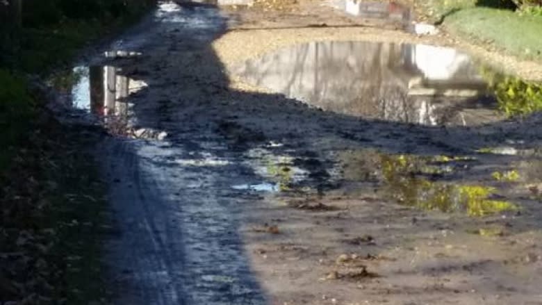 Residents fed up with wet, mucky back lane told paving is possible if they pay