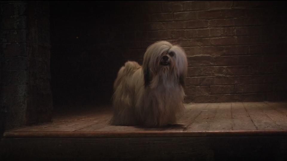 <p> Peg is one of the other dogs from <em>Lady and the Tramp </em>I love because how can you not love her? Not only am I jealous of a dog's hair routine because her fur is <em>fluffy, </em>but Peg has the voice of an angel. And honestly, in the live-action version, her iconic song "He's a Tramp" is sung by Janelle Monáe and is the best part of that Disney live-action. </p>