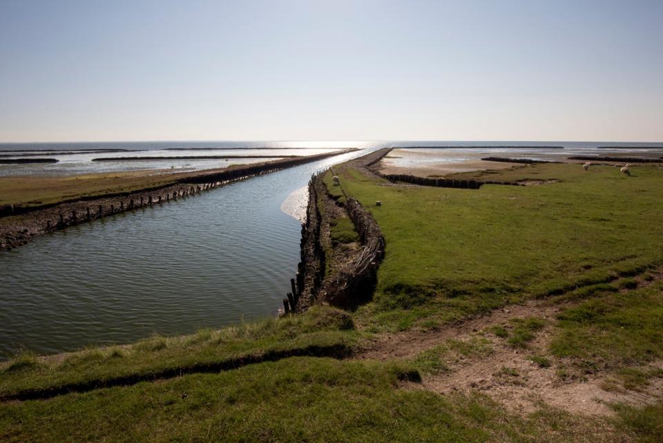 Wadden Sea National Park is a Unesco-listed area with beaches and estuaries (Getty Images/iStockphoto)