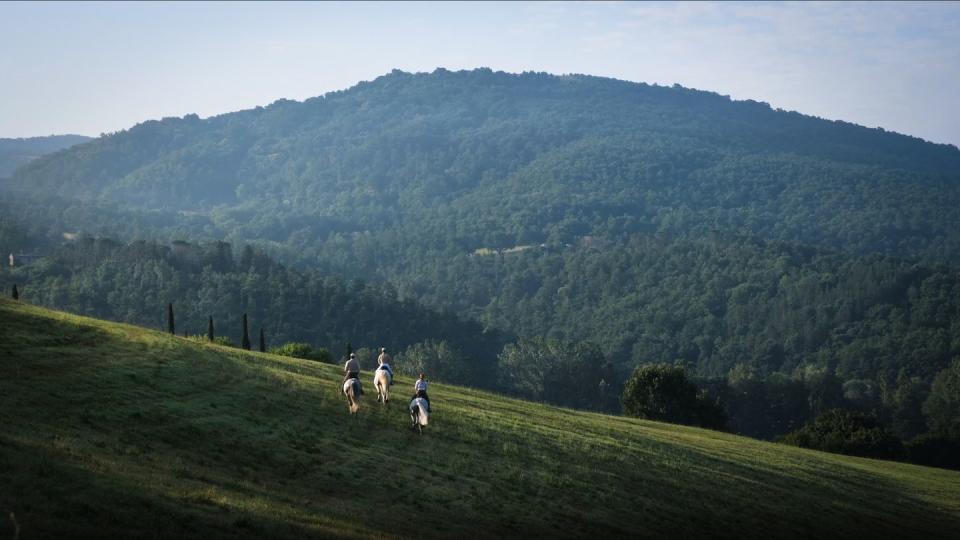 a group of people walking on a grassy hill with trees and mountains in the background