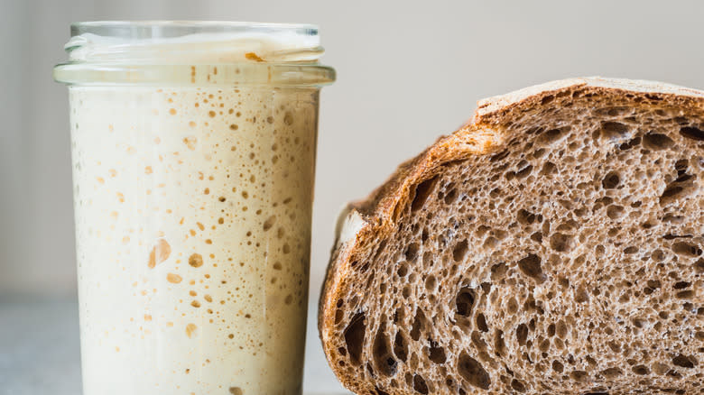 sourdough and starter