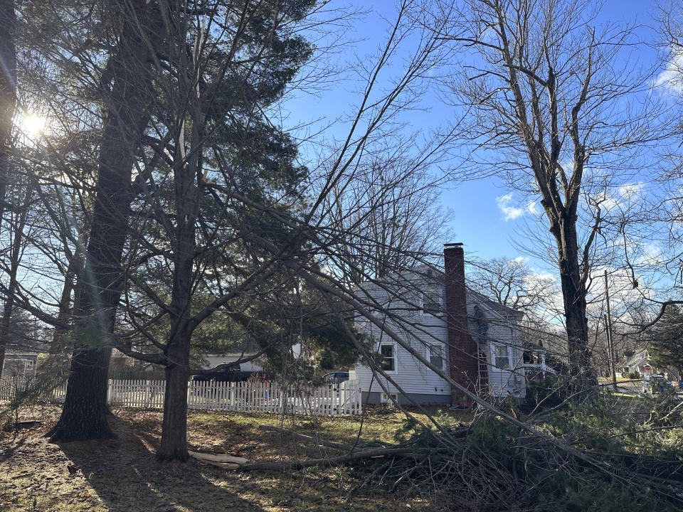 A large chunk of a 60-foot white pine tree lays across Ellen Briggs' yard in Portland, Maine, on Tuesday, Dec. 19, 2023. Utility crews are working to restore power to hundreds of thousands of customers in Maine and some rivers continued to rise following a powerful storm that hit the northeastern U.S. (AP Photo/Patrick Whittle)