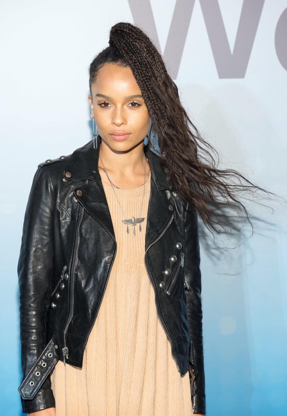 La fille de Lenny Kravitz, Zoë, transforme sa chevelure en multiples tresses. Avec cette technique, elle stylise sa queue de cheval haut placée.