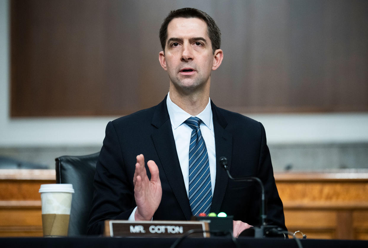 Tom Cotton Tom Williams/CQ-Roll Call, Inc via Getty Images