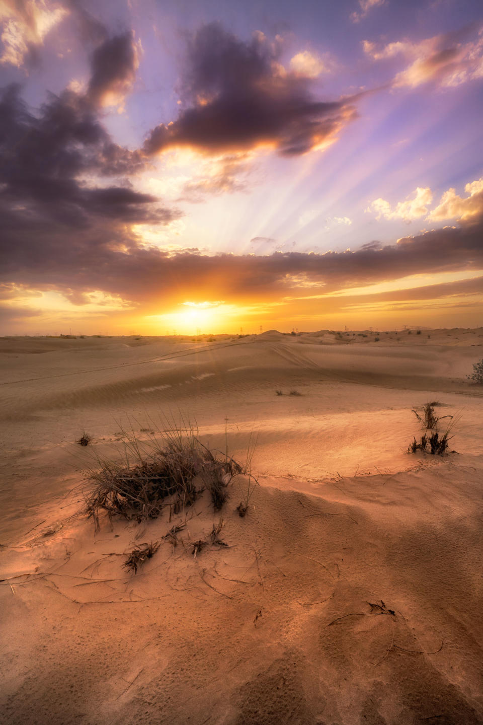 Sea of sand – Beautiful photos of Dubai’s deserts