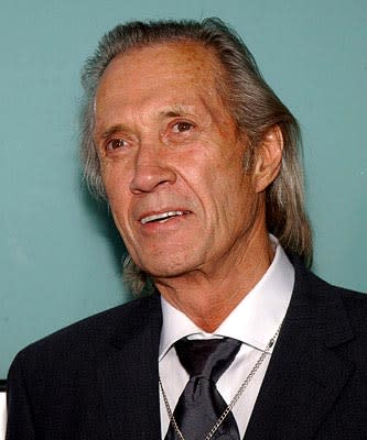 David Carradine at the LA premiere of Miramax's Kill Bill Vol. 2