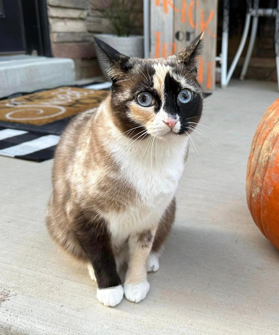 Galeana was unharmed despite going days without food or water (Carrie Stevens Clark / Facebook)