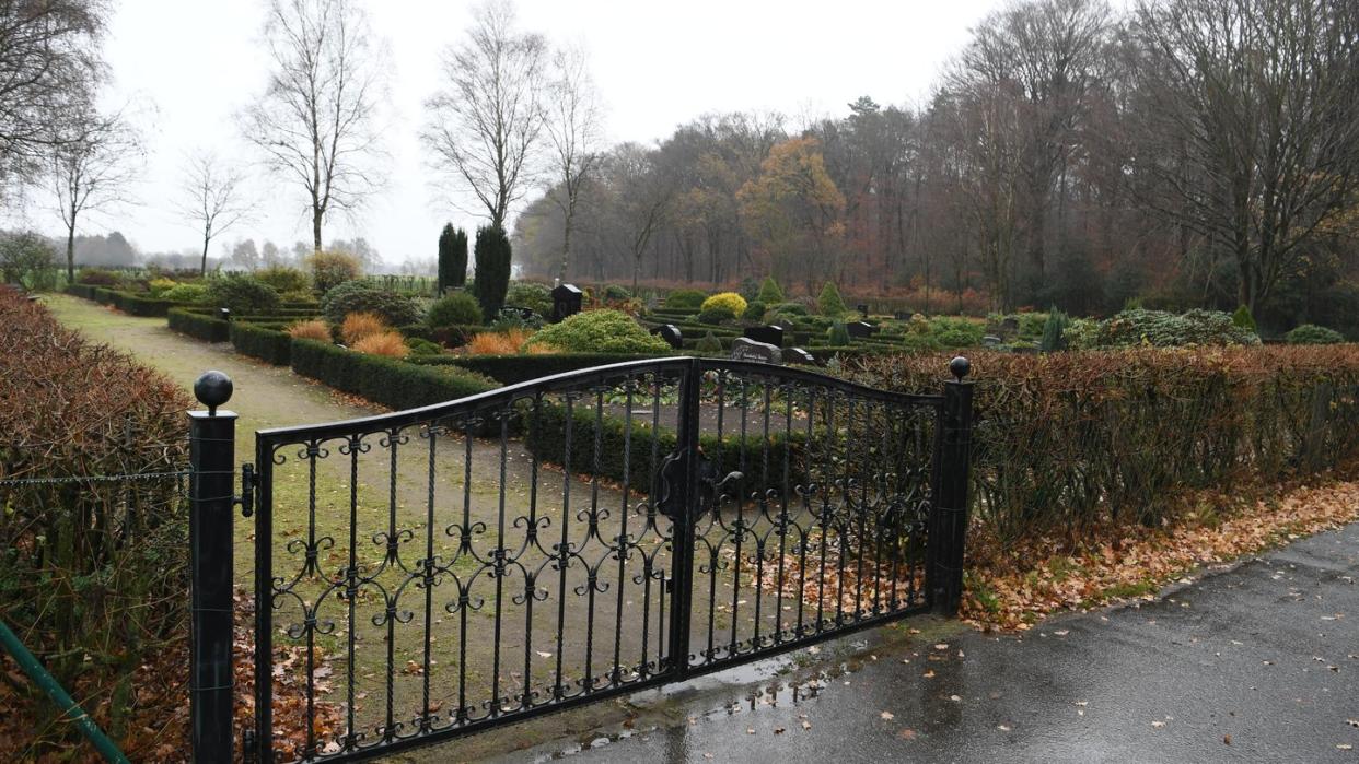 Im niedersächsischen Steinfeld wurde ein Gemeindearbeiter nach eigener Schilderung bei der Pflege einer Grünanlage um einen Friedhof von einem Wolf gebissen. Foto: Carmen Jaspersen