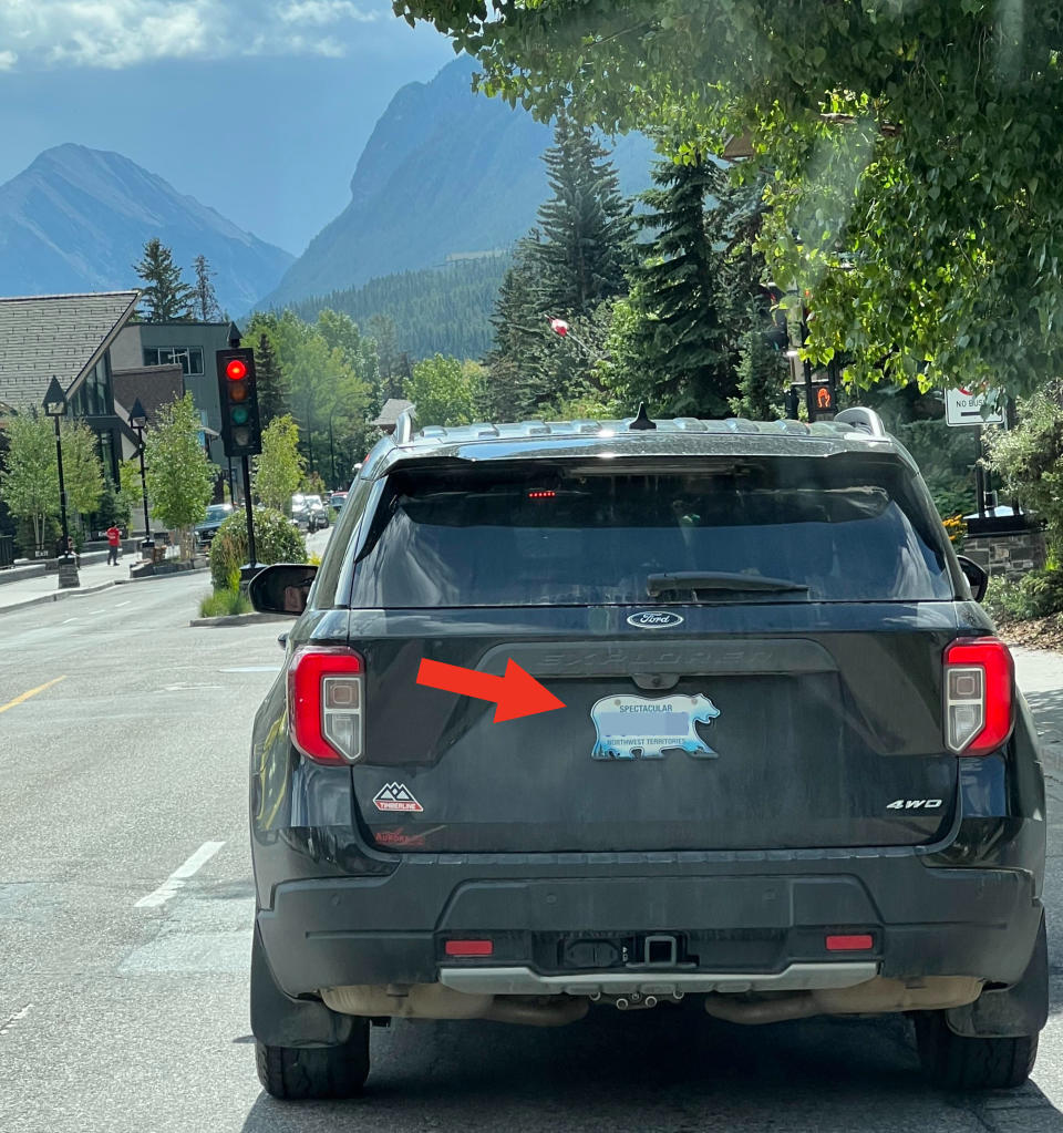 Arrow pointing to a car's license plate in the shape of a bear