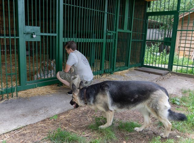 Russia Ukraine War Animals