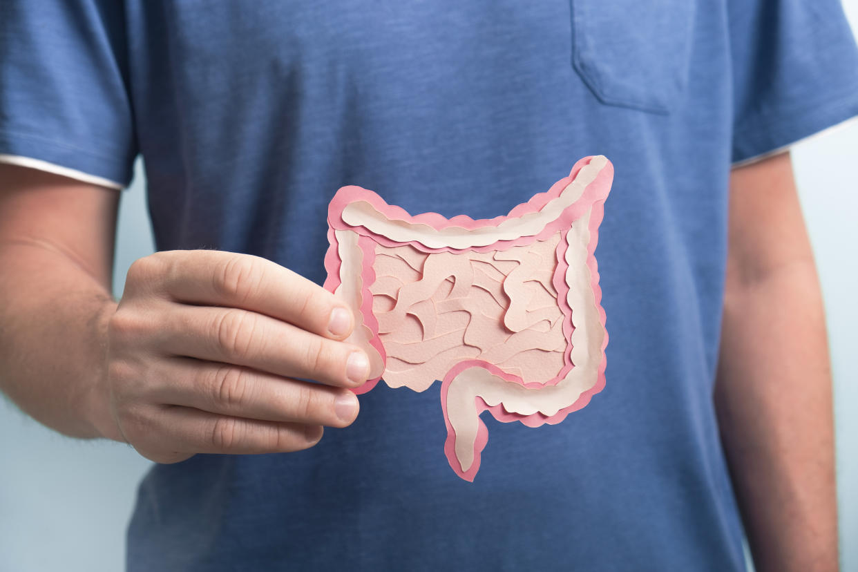 Man holding decorative model intestine. Close up