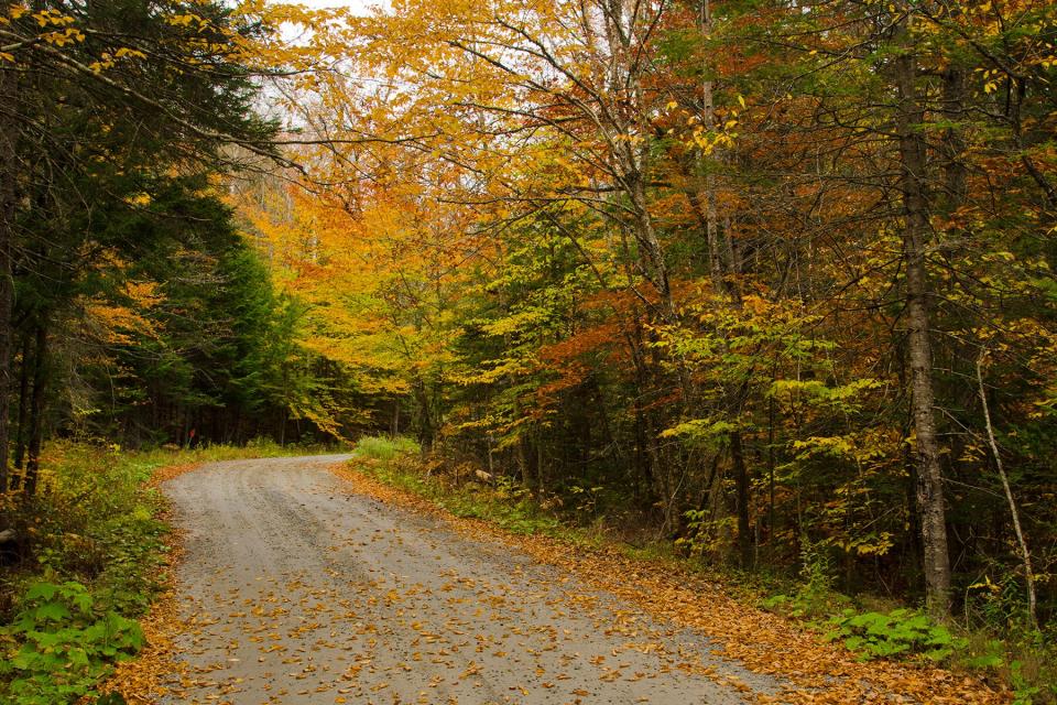 Montgomery, Vermont, road with fall foliage