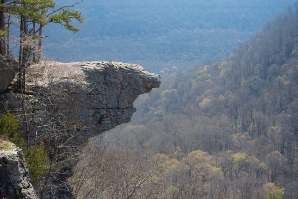 Early Spring At Hawksbill Crag Arkansas