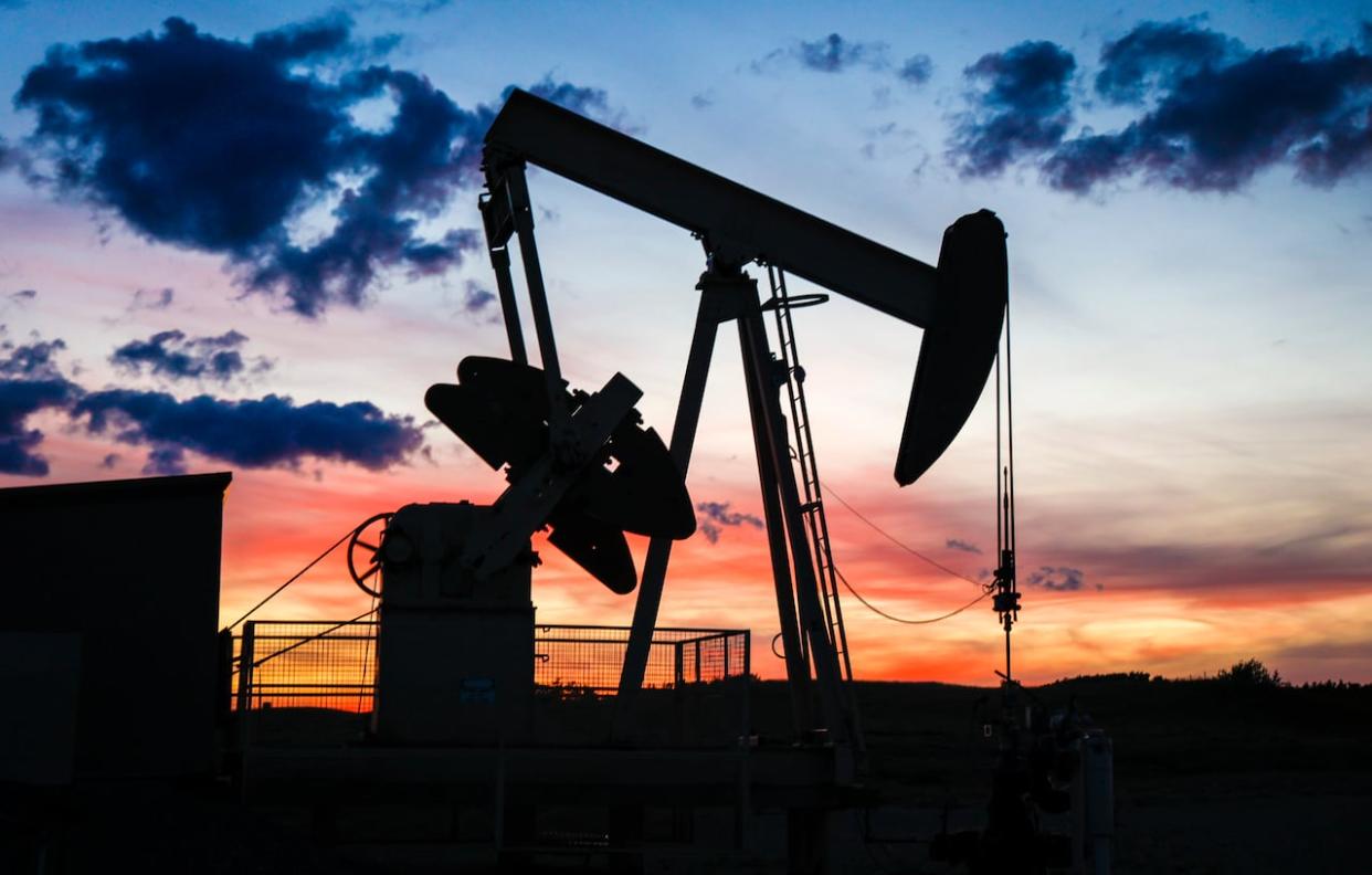 A pumpjack draws out oil from a well head near Calgary in this file photo taken in September 2022. (Jeff McIntosh/The Canadian Press - image credit)