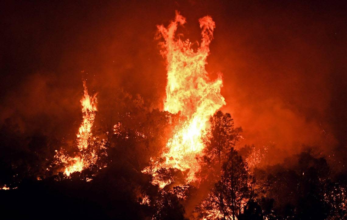 High winds cause tree canopies to flare up at the Oak Fire as it burns east of Midpines Friday night, July 22, 2022 near Mariposa.