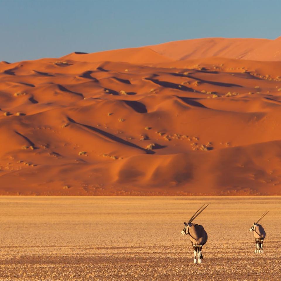 16) Southern Namib Desert, Namibia