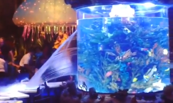 Fish tank burst video from Disney World's Downtown Disney's T-Rex Cafe