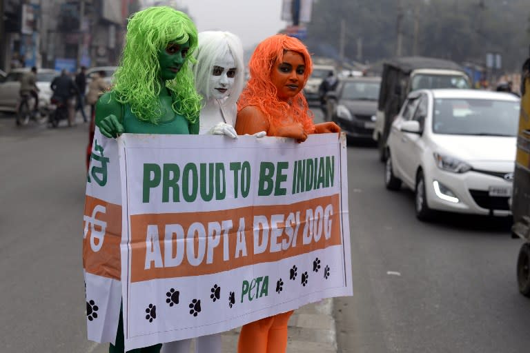 <p>Indian activists from the group People for the Ethical Treatment of Animals (PETA) protest on the roadside in Jalandhar on January 22, 2016. The group argues people should not buy animals from breeders when millions of homeless dogs and cats live on the streets and in shelters. </p>