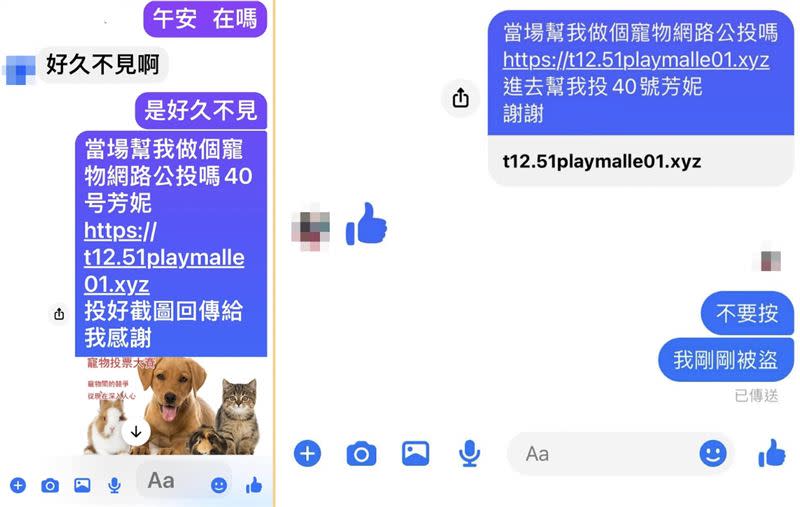近期有民眾收到親友傳來的寵物投票私訊。（圖／翻攝自MyGoPen）
