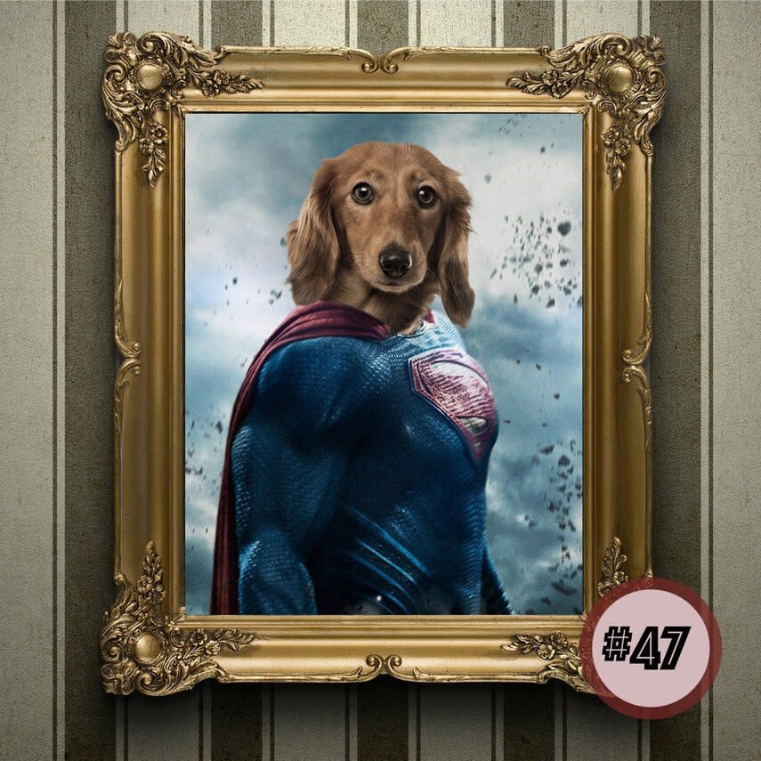 Custom Superhero Dog and Cat Portrait