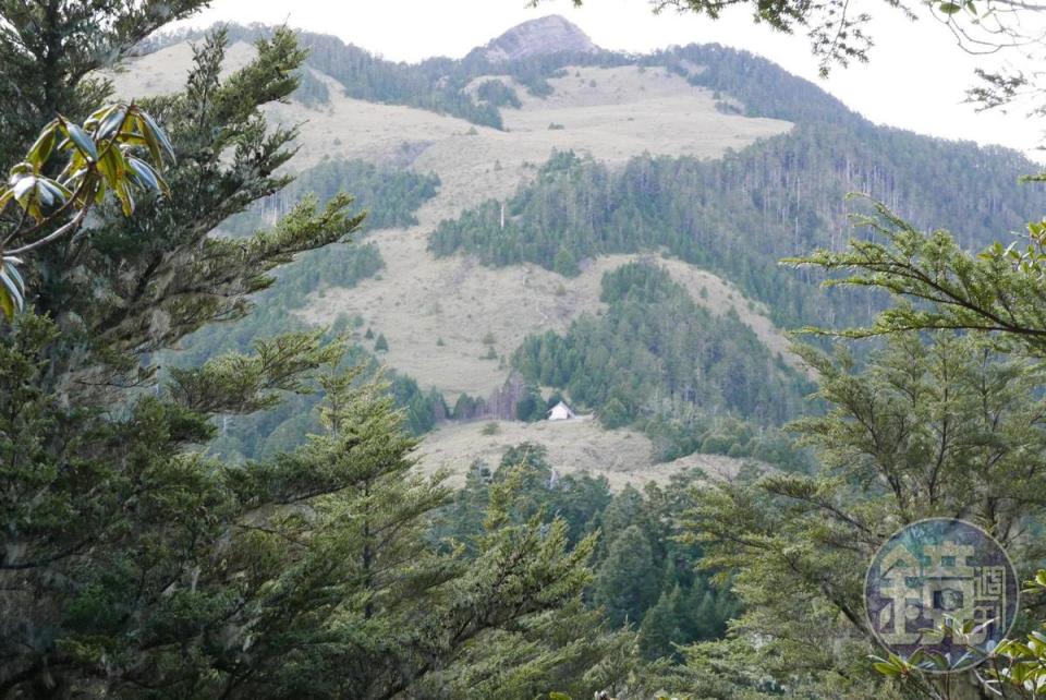 從池有山的山頂可清楚看見桃山山屋。