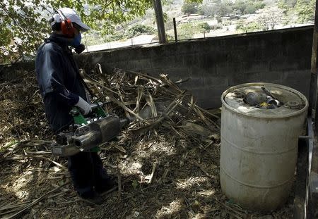 A health worker fumigates to help control the spread of the mosquito-borne Zika virus in San Jose, Costa Rica February 23, 2016. REUTERS/Juan Carlos Ulate