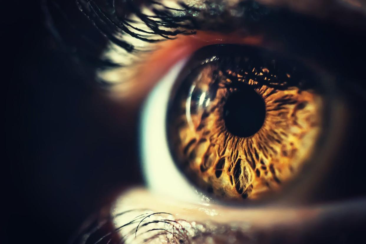 <span class="caption">The cause of many inherited eye diseases are a mystery.</span> <span class="attribution"><a class="link " href="https://www.shutterstock.com/image-photo/human-eye-iris-close-732175816?src=kSqTmRfglJpQ53eQzQoDGQ-1-21" rel="nofollow noopener" target="_blank" data-ylk="slk:Milos Batinic/Shutterstock.com;elm:context_link;itc:0;sec:content-canvas">Milos Batinic/Shutterstock.com</a></span>