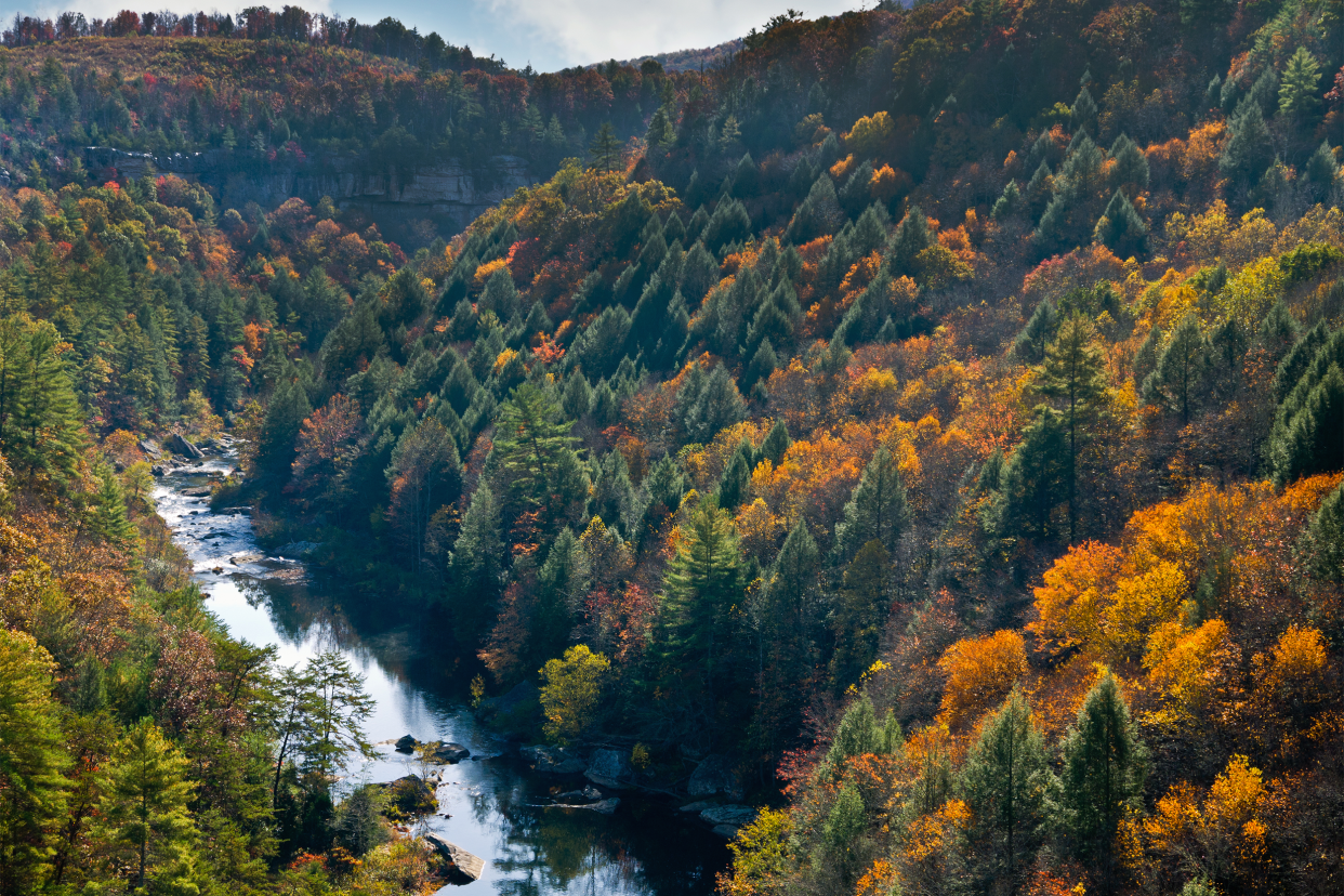 Obed River