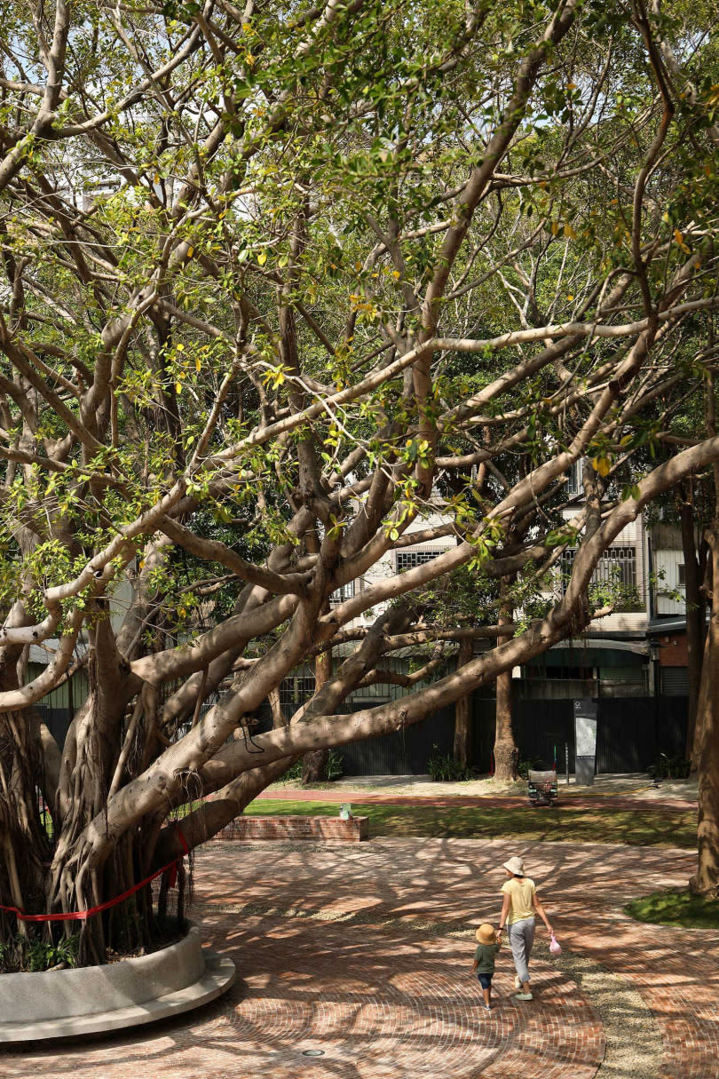 擁有近30年歷史的長和公園，就位在長和宮後方，改建後仍保留著百年老樹。（圖／于魯光攝）