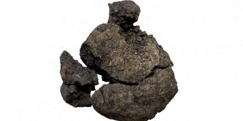 The 8,600-year-old bread found near an oven in Çatalhöyük.