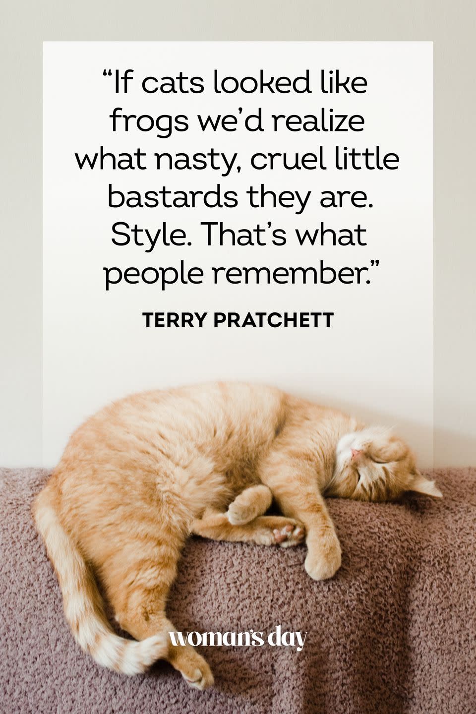 45 Adorable Cat Quotes That Will Melt Your Heart