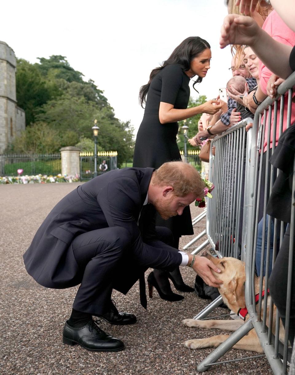 Prince Harry holds a dog's face as he and Meghan Markle greet well-wishers at Windsor Castle.