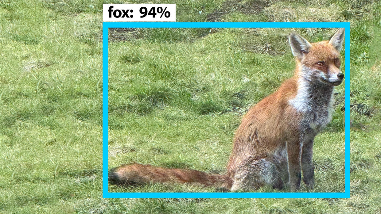  Simulated image of a fox being identified by an algorithm. 