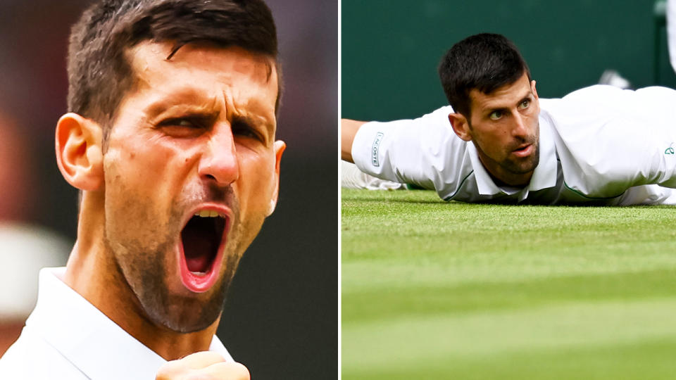 Novak Djokovic, pictured here in action at Wimbledon.