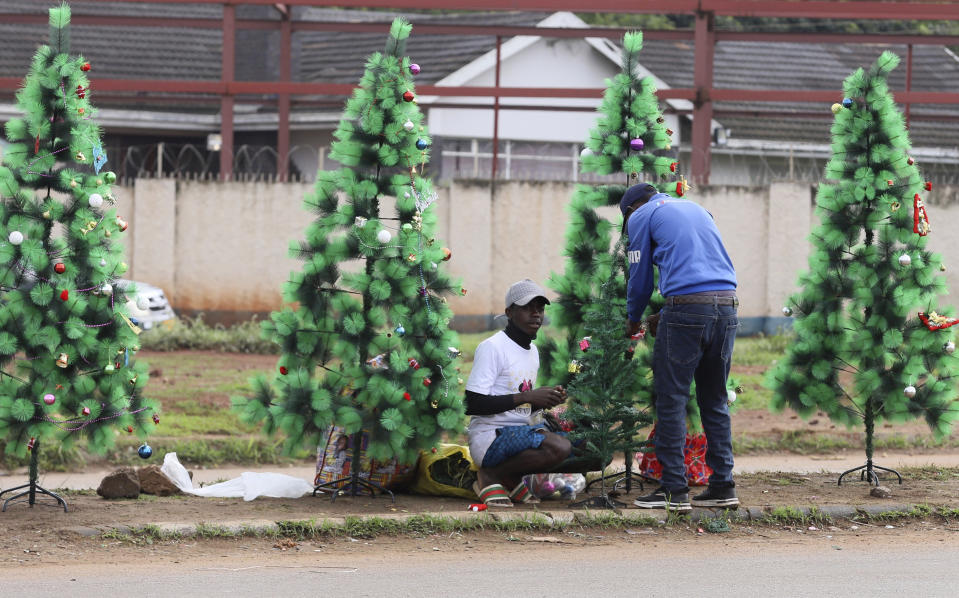 Street vendors prepare Christmas trees for sale on a street corner in Harare, Zimbabwe, Tuesday, Dec. 21, 2022. A buoyant holiday mood is not lifting the country which is coping with widespread power outages and the world's highest food inflation. (AP Photo)