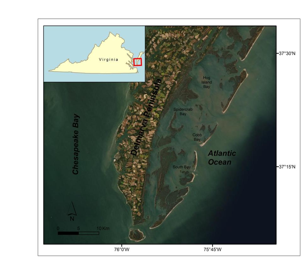 Satellite map showing project area in coastal Virginia.