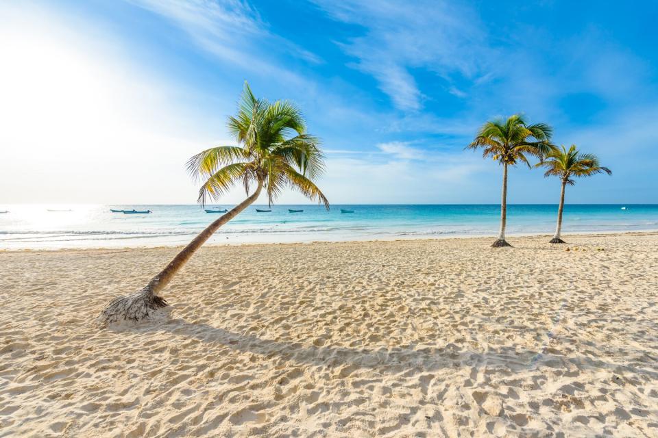 Paradise Beach also called Playa Paraiso at sunrise - beautiful and tropical caribbean coast of Tulum in Quintana Roo, Riviera Maya, Mexico