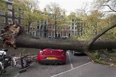 A tree that fell on and killed a woman along a street, lies on a car next to the Herengracht canal in Amsterdam October 28, 2013. REUTERS/Cris Toala Olivares