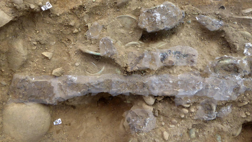 This undated photo issued by Crown Office Communications shows a sword in its scabbard found during a dig near Peebles, after metal detectorist Mariusz Stepien found objects believed to be from the Bronze Age. An amateur treasure-hunter has uncovered one of the most significant Bronze Age hoards ever found in Scotland, authorities said Monday Aug. 10, 2020, including jewelry and a 3,000-year-old sword. Metal detectorist Mariusz Stepien said he was “shaking with happiness” when he made the discovery in a field in June. (Crown Office Communications via AP)