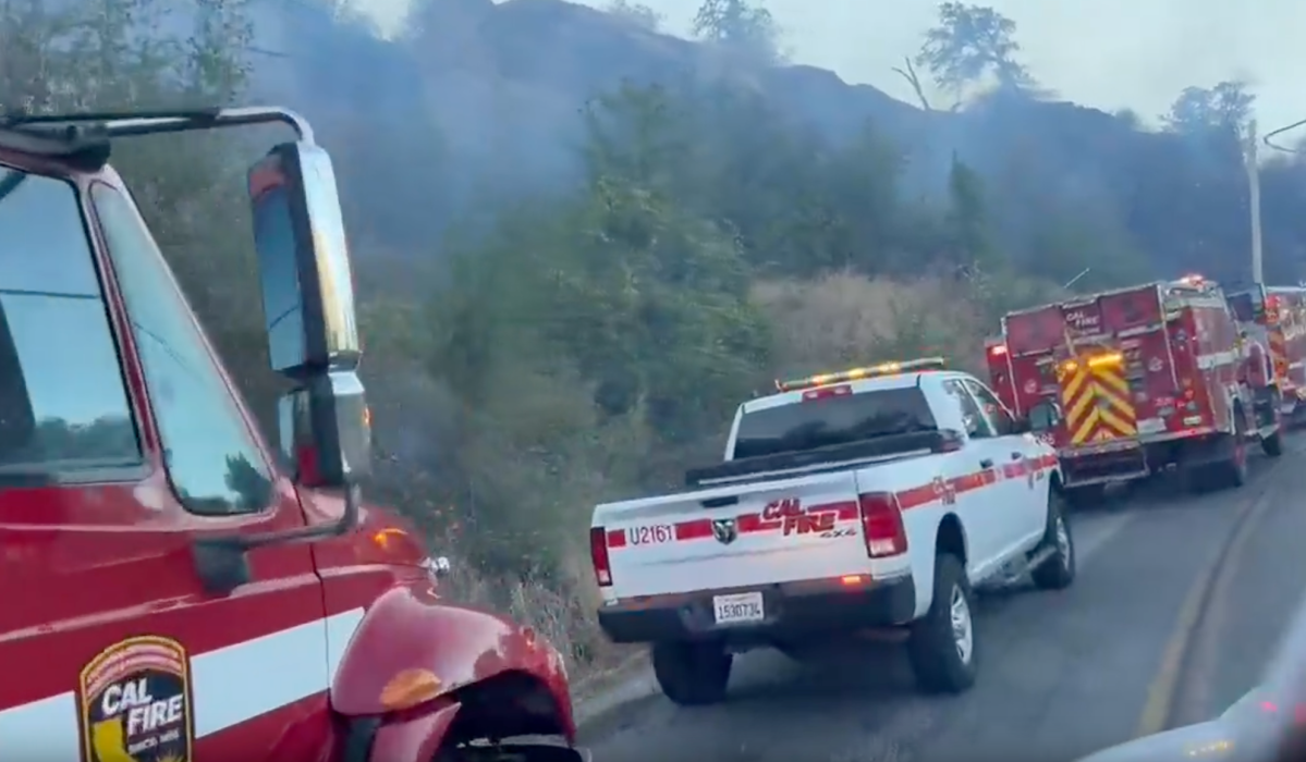 Crews Stop Forward Progress of Centerville Fire in Northern California