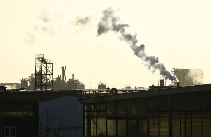 FILE PHOTO: A general view of the German chemical company, BASF Schwarzheide GmbH in Schwarzheide
