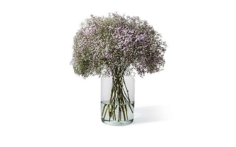 Flowerbx flower delivery Baby's Breath bouquet