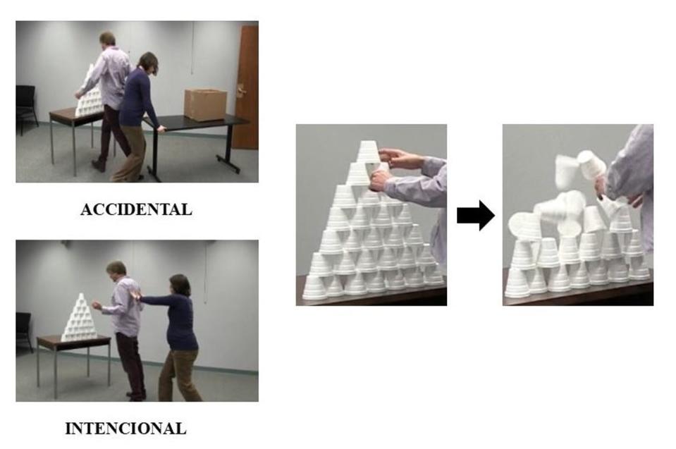 Recreación de los diferentes tipos de choques y ‘accidentes’ para la investigación de la causalidad y la responsabilidad. Author provided