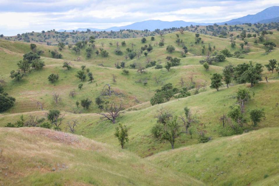Land Conservancy del Condado de San Luis Obispo ha completado una servidumbre de conservación sobre la mayor parte del rancho Camatta, que se extiende desde el bosque nacional de Los Padres en la Highway 58 hasta Shandon. David Middlecamp/dmiddlecamp@thetribunenews.com