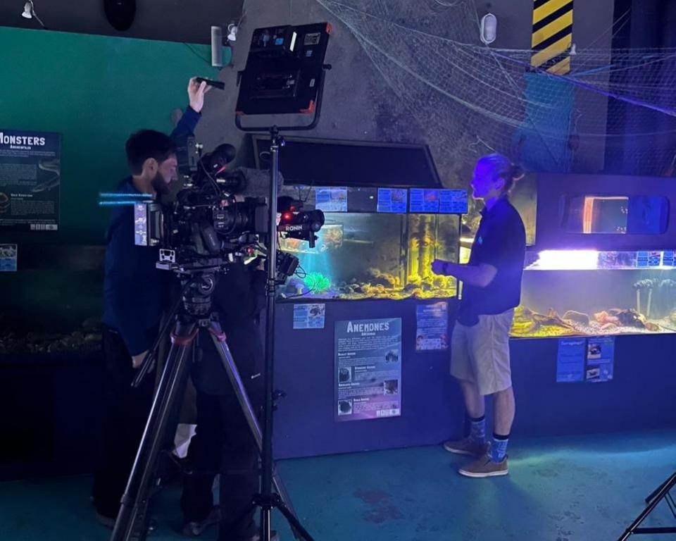 Western Telegraph: ITV's Coast and Country was filming at Sea mor Aquarium on Goodwick Parrog.