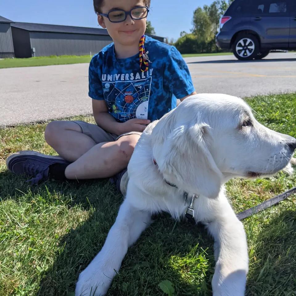 Sol Henry and his service dog Waffles are training together to aid Sol's Duchenne muscular dystrophy, from which he is slowly losing the ability to walk. Waffles is being trained to support Sol's balance and help him up if he falls.