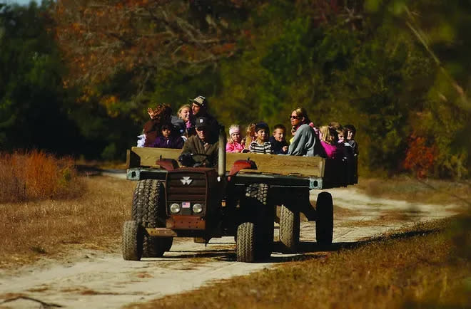 Indigo Farms in Calabash is one of a few places to find hayrides in the Wilmington area.