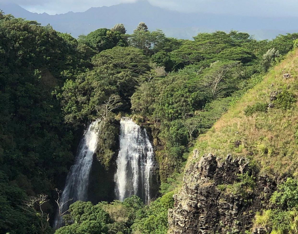 Waimea Valley