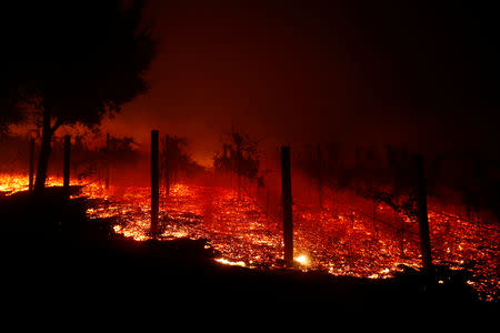 A vineyard burns overnight during a wildfire that destroyed dozens of homes in Thousand Oaks, California, U.S. November 9, 2018. REUTERS/Eric Thayer